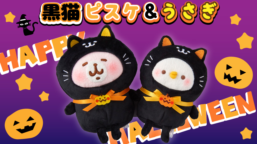黒猫