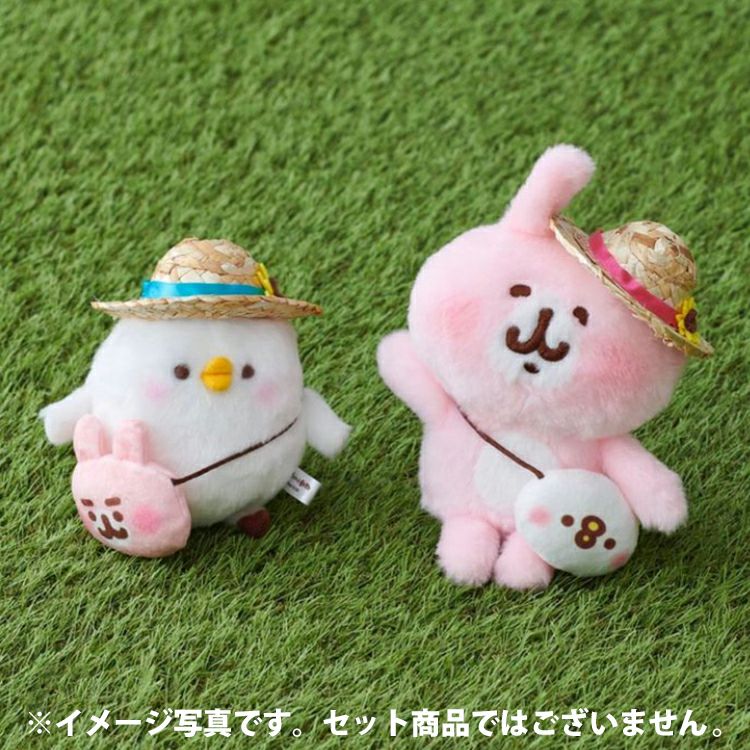 いっしょに夏準備特集 | カナヘイの小動物 ゆるっとストア